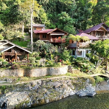 Kupu Kupu Garden Guest House & Cafe ブキットラワン エクステリア 写真