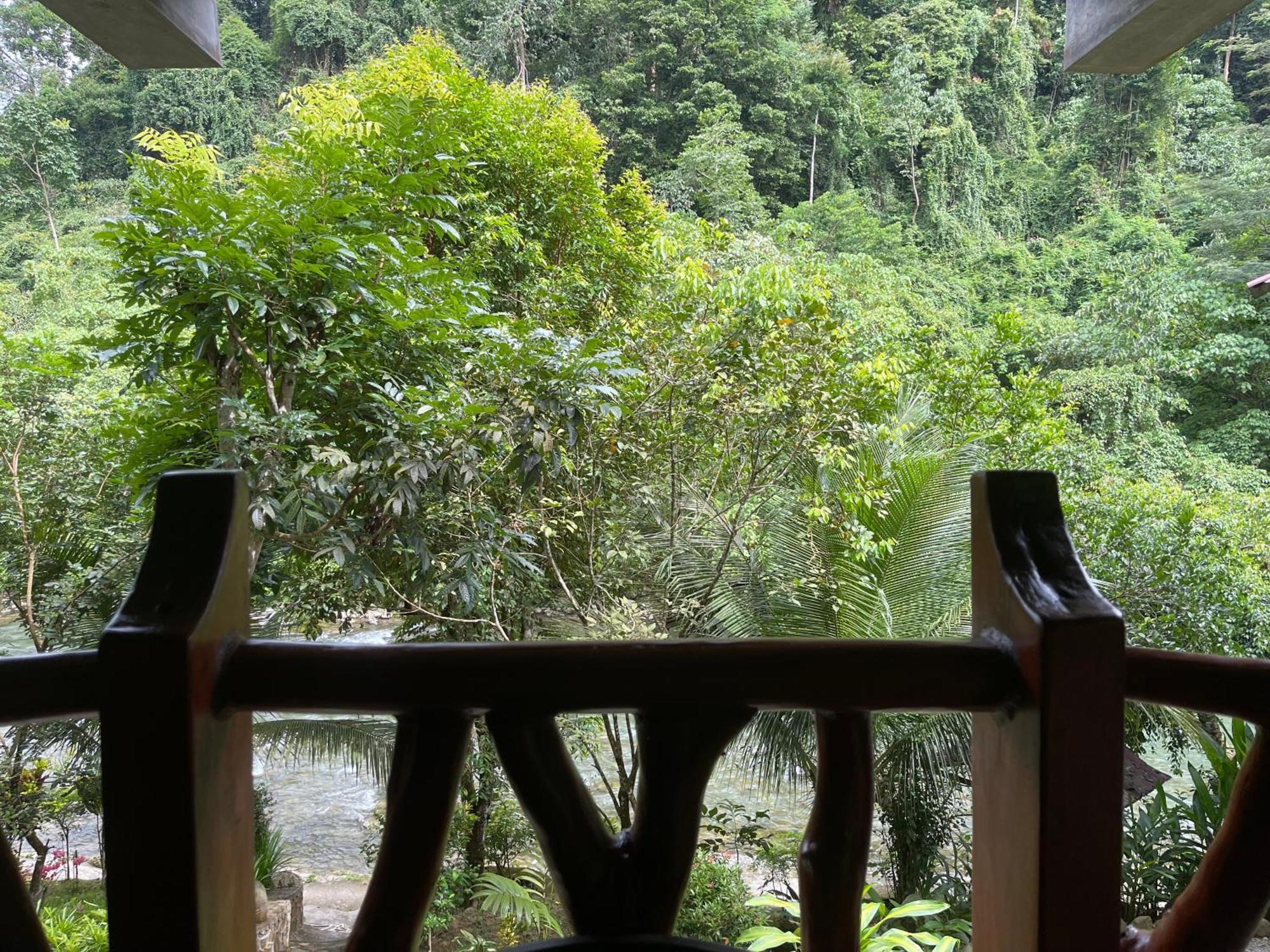 Kupu Kupu Garden Guest House & Cafe ブキットラワン エクステリア 写真