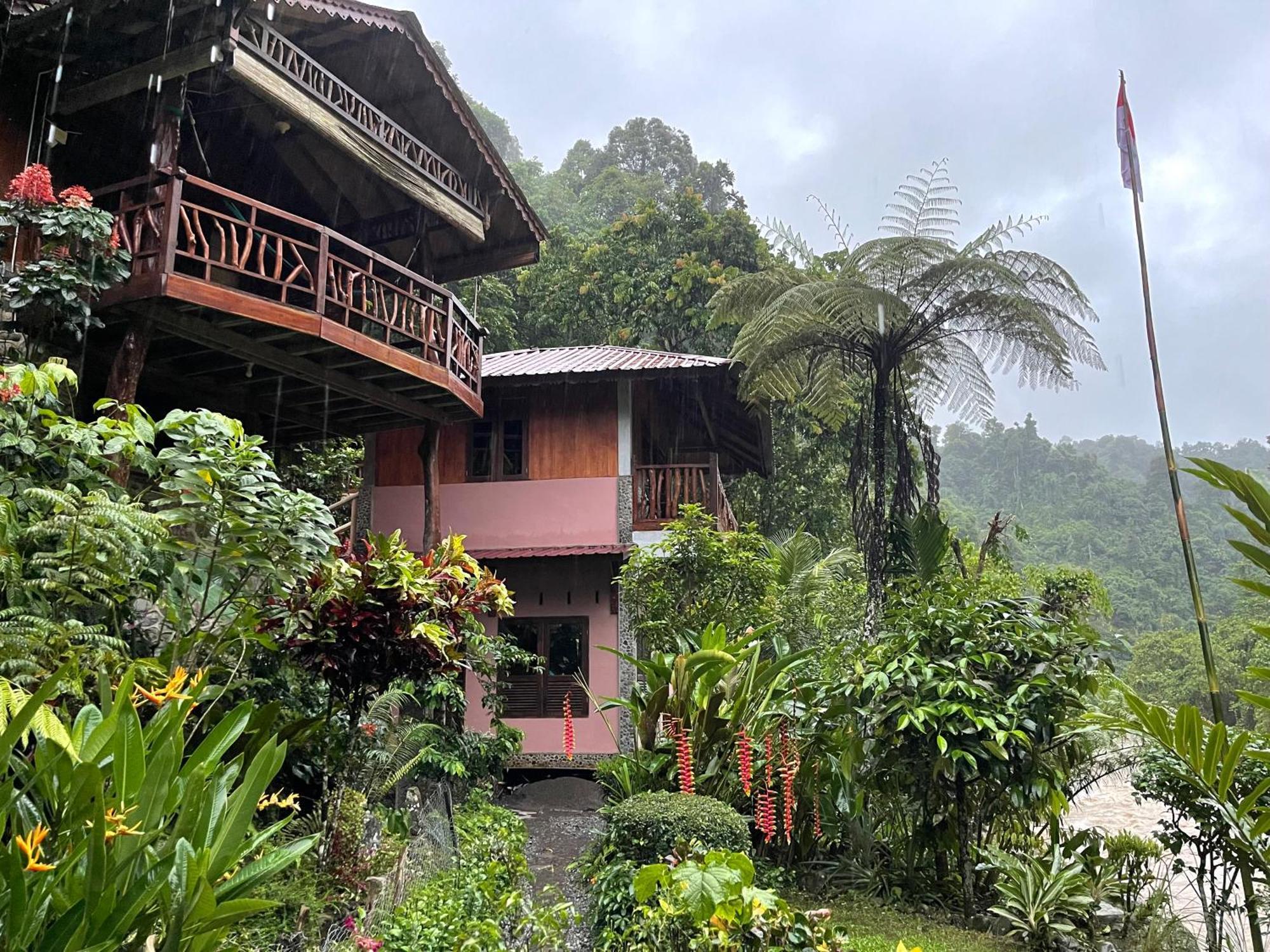 Kupu Kupu Garden Guest House & Cafe ブキットラワン エクステリア 写真