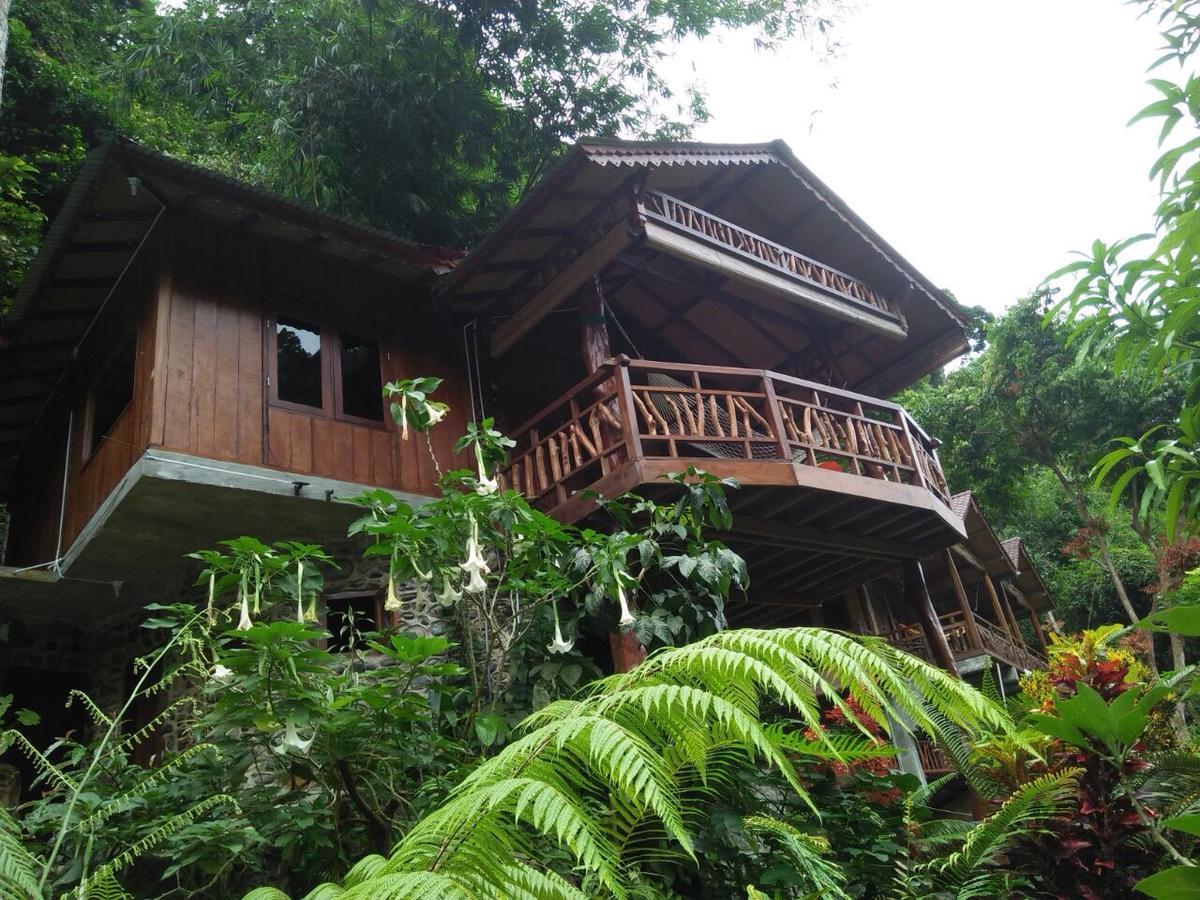 Kupu Kupu Garden Guest House & Cafe ブキットラワン エクステリア 写真