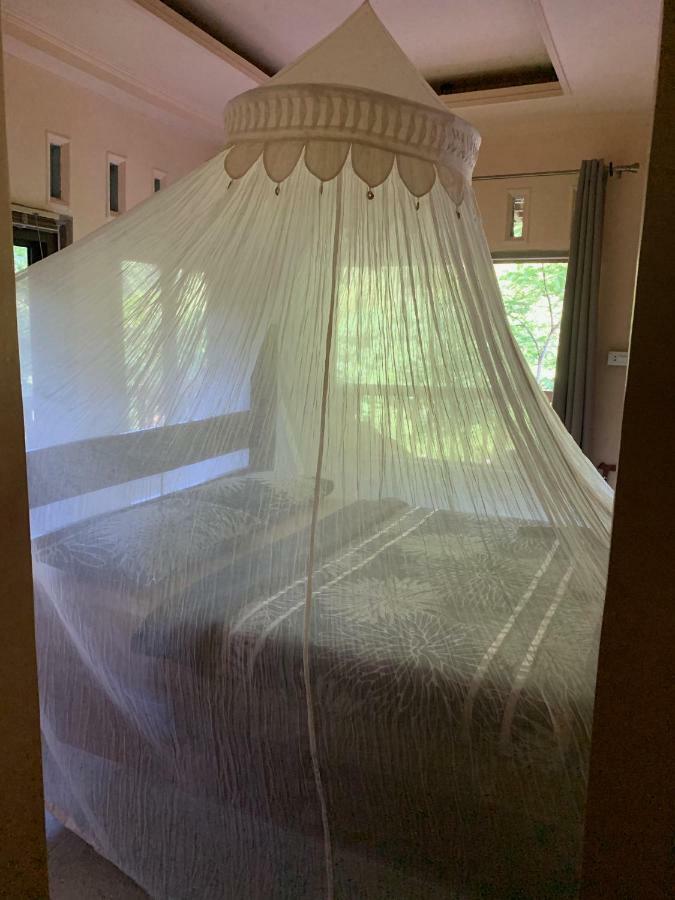 Kupu Kupu Garden Guest House & Cafe ブキットラワン エクステリア 写真